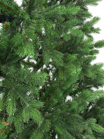 Амалия побег_мал (2)