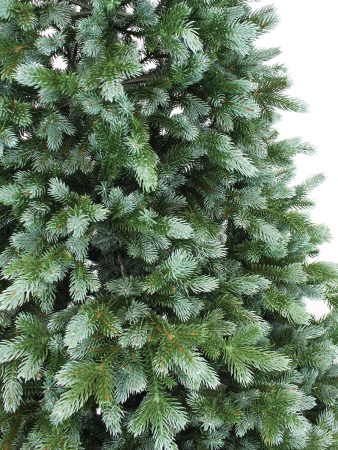 Сириус побег_3_мал