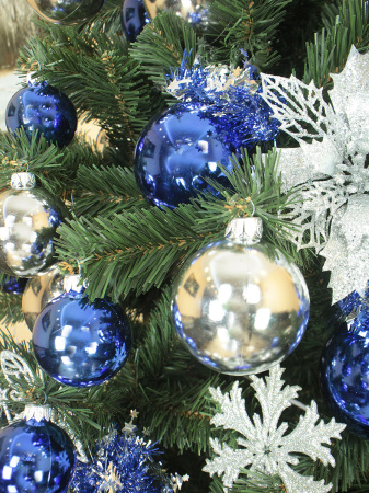 Сибирская 210 (12)_