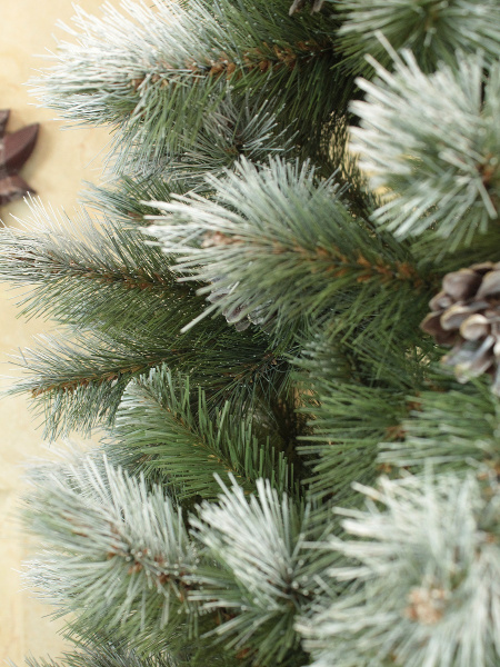 Леруа Кронштадтская (10)