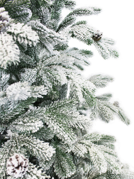 Лаура заснеженная 300 см побег 2_мал