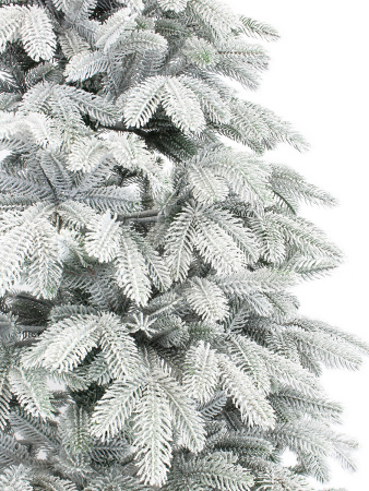 Верона заснеженная побег_4_мал