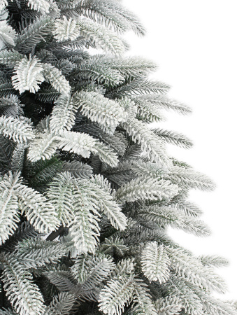 Альтаир заснеженная побег_мал