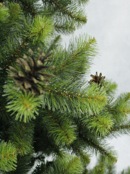 10205155_1 10205155_1