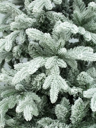 побег еще (2)