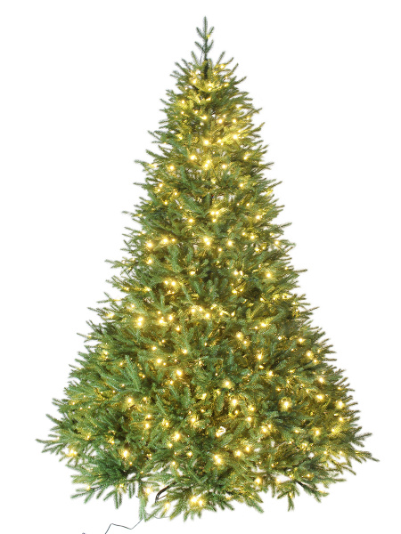 California 240 с лампами_1 мал