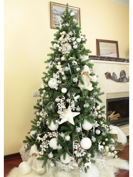 Принцесса леса