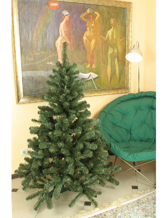 Звездная 1,5 (2)