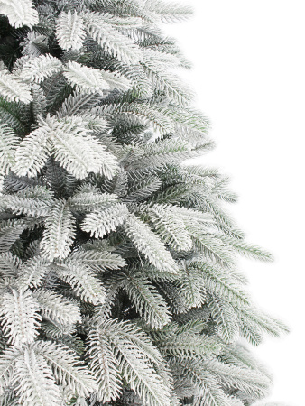 Альтаир заснеженная побег_2_мал