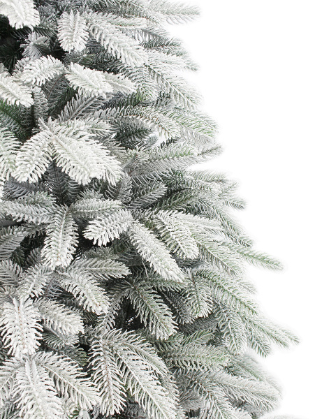 Альтаир заснеженная побег_2_мал