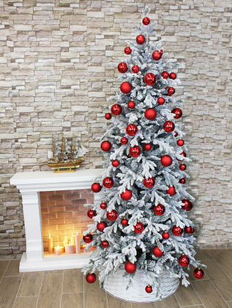 Олимпия заснеженная в интерьере_1_мал