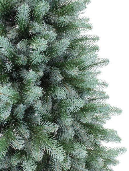 Афина Голубая побег_мал