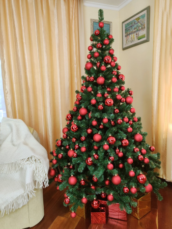 St.Petersburg 215 см (7)