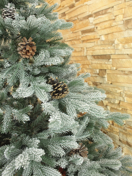 Камелия 190 см (7)