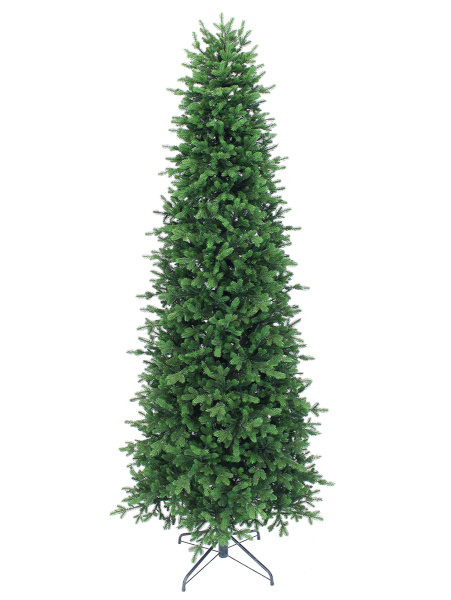 Шарлотта_мал