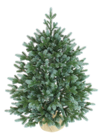 Сириус 75 см (4)_мал