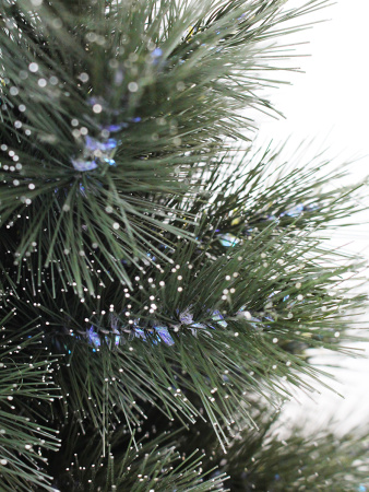 Моника побег 1_мал