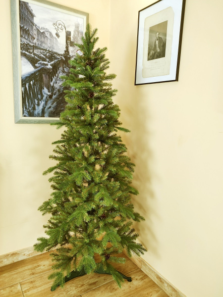 Эдельвейс 1,8 (6)