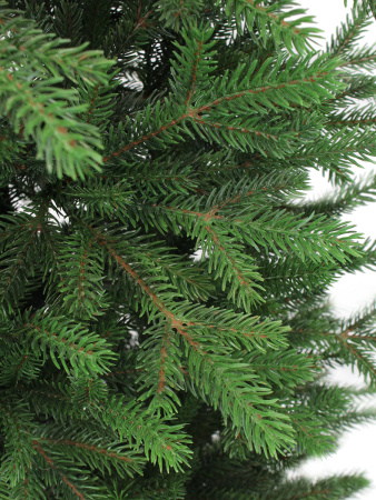 Агнес побег_2