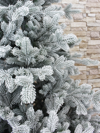 Берта побег интерьер_2_мал