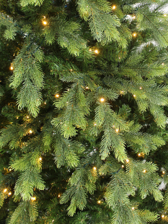 Emerald  с лампами побег_3 мал