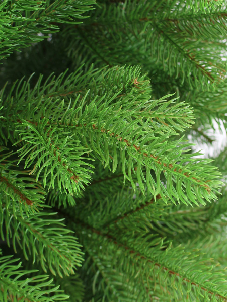 Афина побег_мал