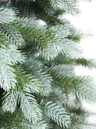 Монреаль побег_3_мал