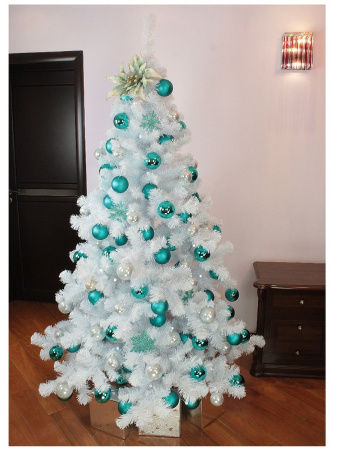 Радужная 2,1 (13)