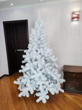 Радужная 2,1 (6)