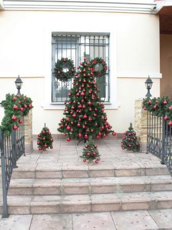 Скандинавская 2,1 (20)