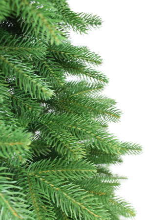 Эстелла побег_мал