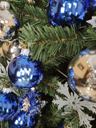 Сибирская 210 (17)_