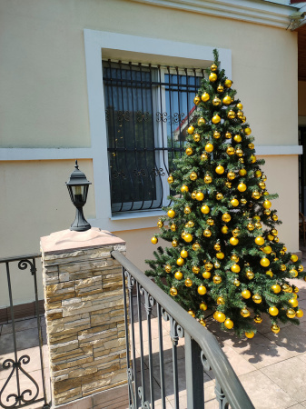 Канадская 240 см (13)