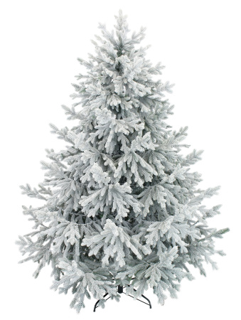 Пальмира раскидистая заснеженная_1_мал