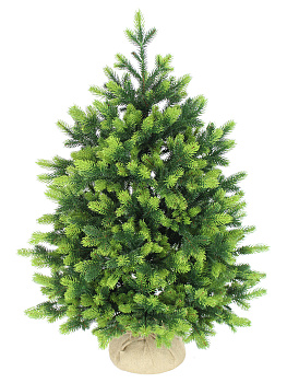 Ель Андромеда зеленая 0,75 м