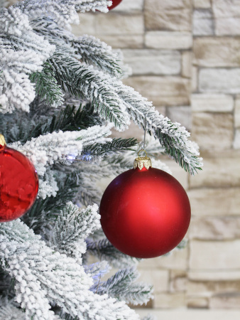 Олимпия заснеженная в интерьере_4_мал