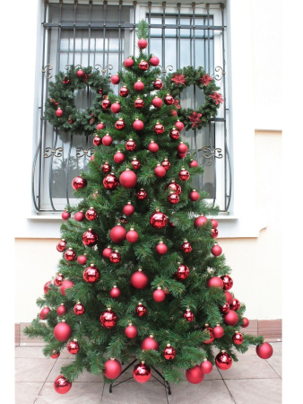 Скандинавская 2,1 (18)