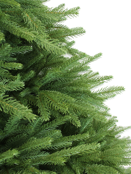 California побег 6_мал