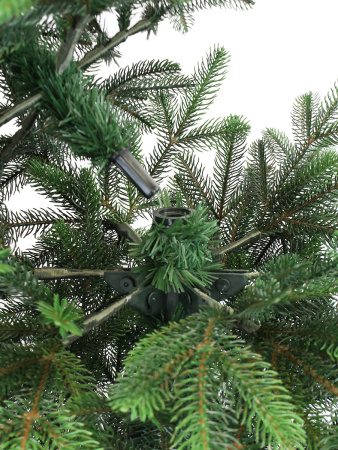 Верона деталь_мал