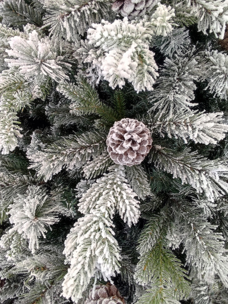 1041221-LGB04GP-BH70-MD_2