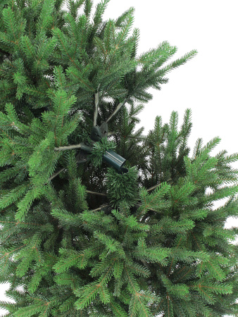 Агнес деталь_2