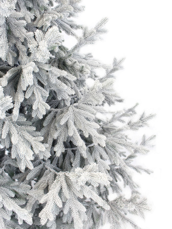 Пальмира раскидистая заснеженная_побег 4_мал