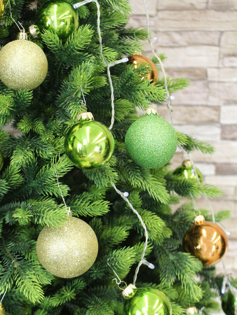 Андромеда в интерьере побег_мал