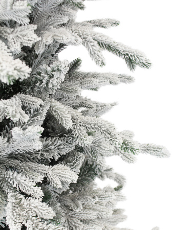 Олимпия 220 (4)_мал