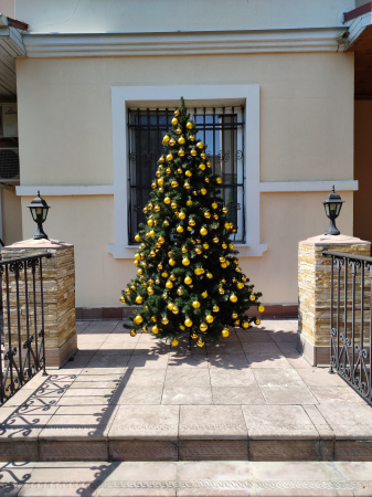 Канадская 240 (48)