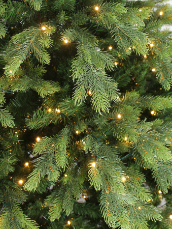 Emerald  с лампами побег_1 мал