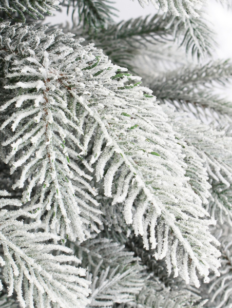 Верона заснеженная побег_3_мал