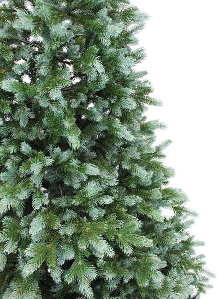 Сириус побег_мал