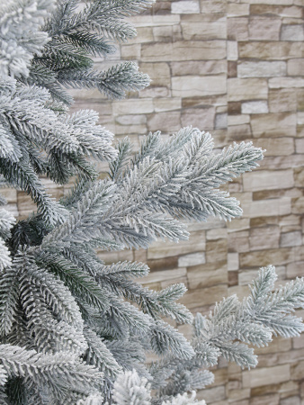 Пальмира раскидистая заснеженная_побег в интерьере_мал