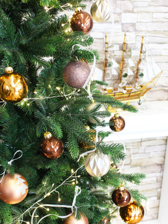 Олимпия в интерьере побег_мал